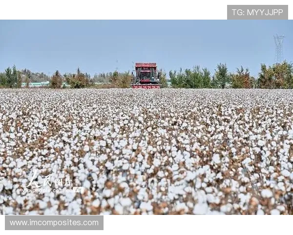 ✅体育直播🏆世界杯直播🏀NBA直播⚽- 新疆棉花全面采收 棉田尽显“科技范”- sports