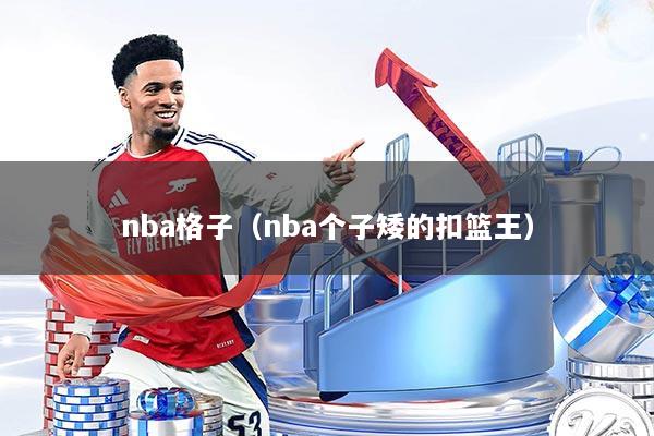 nba格子(nba个子矮的扣篮王)