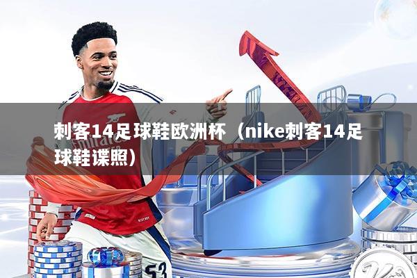 刺客14足球鞋欧洲杯（nike刺客14足球鞋谍照）