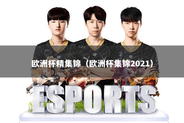 欧洲杯精集锦（欧洲杯集锦2021）